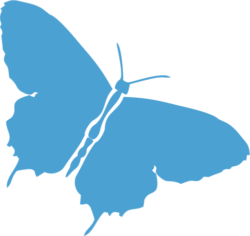 Butterfly icon